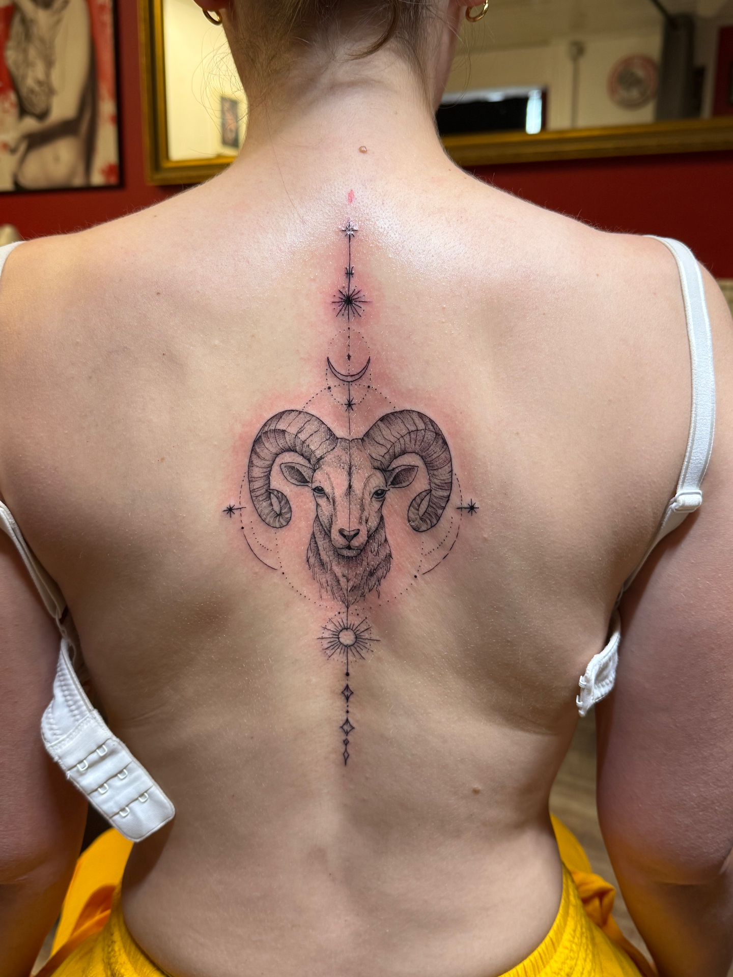 Fineline Widder Tattoo – Straight Line Tattoo Rosenheim